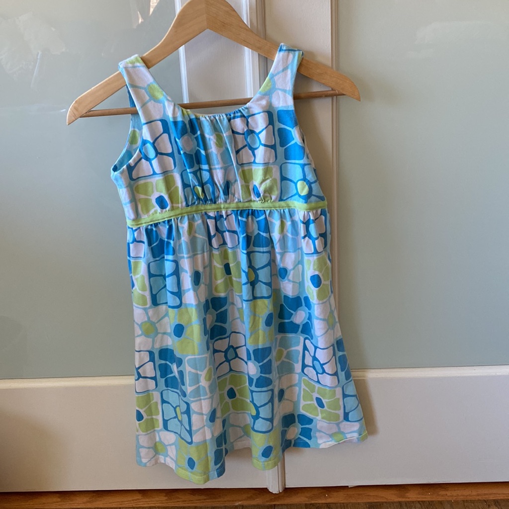 Big Fish Sleeveless Sun Dress